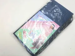 【一輝堂】和装小物 未使用品 和装バック 紬織 美品 25w11-14139