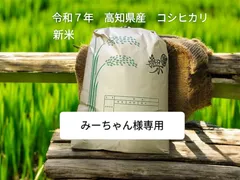 みーちゃん様専用