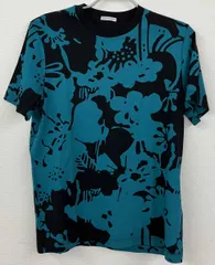 MONCLER モンクレール プリントTシャツ　メンズS グリーン系 タグ付 未使用