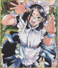 2026年最新】ガガイモ 色紙の人気アイテム - メルカリ