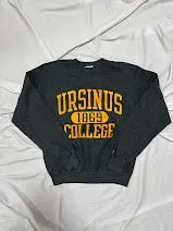 CHAMPION カレッジプリント スウェット グレー S US古着