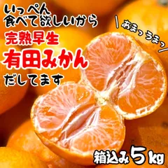 2025年最新】みかんの出品中の人気アイテム - メルカリ