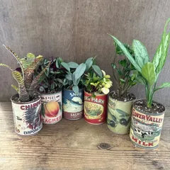 2025年最新】リメ缶ラベルの人気アイテム - メルカリ