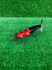 2025年最新】ガリテトラの人気アイテム - メルカリ