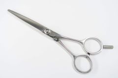 Item thumbnail for item b2804458-871a-4562-89d9-9bfb551ba2f5