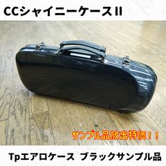 Item thumbnail for item 1e59dd79-c974-4397-bba2-f9b9b129da35