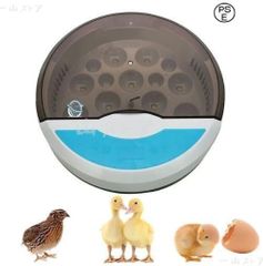 自動孵卵器 インキュベーター 入卵9個 鳥類専用孵卵器 検卵ライト内蔵 孵化器 鶏卵 アヒル うずら 子供教育用 自動温度制御 湿度保持