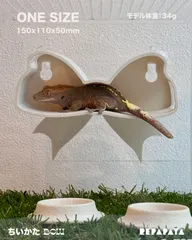 2026年最新】爬虫類ケージ 150の人気アイテム - メルカリ