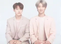 SEVENTEEN 2019 ODE to You IN JAPAN HOSHI/THE8 トレーディングカード 0098