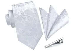 HISDERN A3-03 結婚式 ネクタイ チーフ クリップ 3点セット シルバー 幅8.5cm ギフトボックス付き 高級 光沢 フォーマル 礼服用 披露宴 紳士用