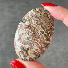 Leopard Skin Jasper レオパードスキンジャスパー|palm パーム①|天然石　パワーストーン　鉱物　gem stone