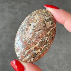 Leopard Skin Jasper レオパードスキンジャスパー|palm パーム③|天然石　パワーストーン　鉱物　gem stone