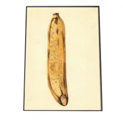 【A3サイズ（約30×42cm）】【bn-poster-435】バナナ 黄色 果物 フルーツ博物画 植物 ポスター 図鑑 レトロ 古い ビンテージ オールド デジタルリマスター インテリア おしゃれ アート 古紙 珍しい 縦