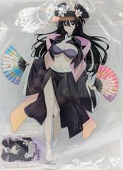 FREEing らき☆すた 岩崎みなみ 体操服ver PVC - メルカリ