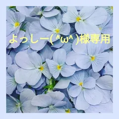 よっしー( ^ω^ )様専用