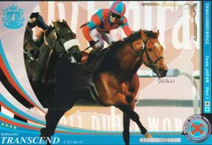 まとめ買い専用ページ31