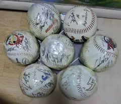 2014プロ野球全球団選手サイン入り大型球