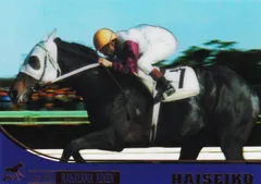 2026年最新】ハイセイコー記念の人気アイテム - メルカリ