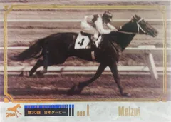 メイズイ：第30回 日本ダービー(金文字仕様)「THE GRADE ONE 20世紀の名馬」99位
