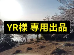 YR様専用出品 チェンソーマン Combination Battle サムライソード