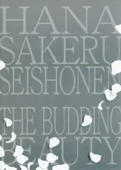 【中古】販促品 異空間ステージ 花咲ける青少年 第2弾 フライヤー