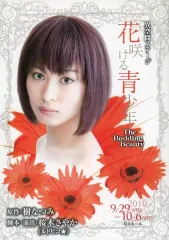 【中古】販促品 異空間ステージ 花咲ける青少年 フライヤー B