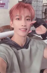 【中古】コレクションカード(男性) SEVENTEEN/DK(ドギョム)/裏面グレー/CD「FML」Version C(FIGHT FOR MY LIFE ver.)封入特典フォトカード