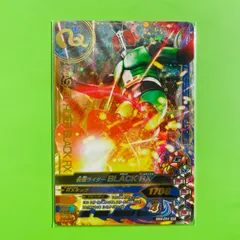 BM4-054 SR 仮面ライダー BLACK RX ガンバライジング カード 2018年