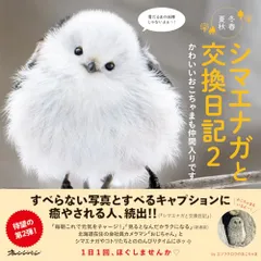 94-95 ナイジェリア代表　オコチャ　新品紙タグ付き　オフィシャル当時物シャツ クロップが選んだ“ブンデス歴代ベストゴール”。ナイジェリア10番