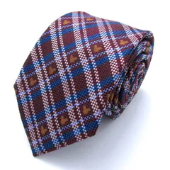 ディズニー ブランド ネクタイ ミッキー チェック柄 小紋柄 格子柄 シルク PO メンズ ワインレッド Disney 【中古】