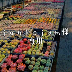 junkojam様専用