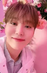 【中古】コレクションカード(男性) SEVENTEEN/SEUNGKWAN(スングァン)/裏面ピンク/CD「ALWAYS YOURS」(通常盤)封入フォトカードE