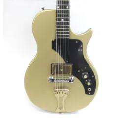 2025年最新】ビザールギターの人気アイテム - メルカリ