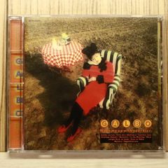 gulu gulu ぐるぐる流出音源集 CD V系 ヴィジュアル系 廃盤 レア