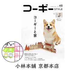 電人ザボーガー ＆ ピー・プロ特撮大図鑑 （編：洋泉社／洋泉社MOOK