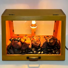 2026年最新】ホットショーケースの人気アイテム - メルカリ