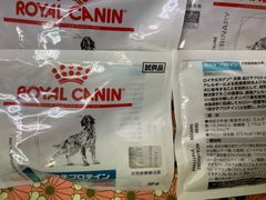 Item thumbnail for item c4318e13-5a89-4239-87a8-f296eeca6fc8