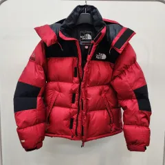 THE NORTH FACE 自由の女神 マウンテンパーカー 赤色 XLサイズ 2025年最新】supreme 自由の女神 north faceの人気アイテム - メルカリ