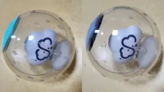 2026年最新】ハソンウン ペンライトの人気アイテム - メルカリ