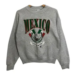 90's/90年代ヴィンテージ FRUIT OF THE LOOM/フルーツオブザルーム USA製 Mexico製　スウェトレーナー 長尾 フロントプリント USA製 メンズ M グレー