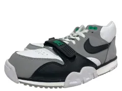 NIKE (ナイキ) Air Trainer 1 Chlorophyll エアトレーナーワン クロロフィル ローカットスニーカー DM0521-100 US9.5 27.5cm グレー メンズ/045