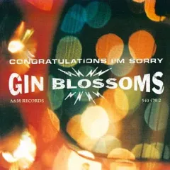 【中古】洋楽CD ジン・ブロッサムズ / コングラチュレイションズ・アイム・ソーリー