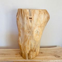 ヒノキの切り株の造形的置物大プレート -6 - メルカリ