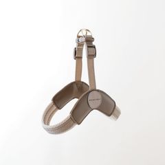 Item thumbnail for item abbe0159-dc1f-4782-9e2b-22ec18c09edb