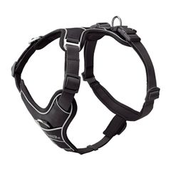 Item thumbnail for item 8b469a01-7814-4fa9-bc7f-6dfecfe36564