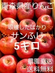 青森県産りんご　サンふじ5キロ　家庭用