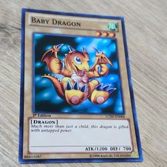 MTG 良品 献身的な世話人 foil 英語版 - メルカリ