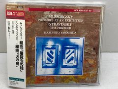 キリスト教思想史入門: 歴史神学概説 キリスト新聞社 アリスター・E
