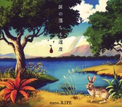 [중고] 애니메이션계 CD nano.RIPE / 눈물이 떨어지는 속도 [첫회 한정판 A]