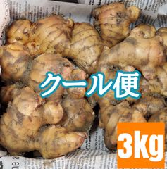 囲い生姜 土付き 3kg 大生姜 土佐一 - メルカリ